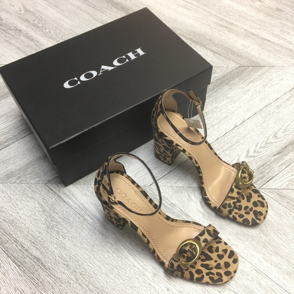 Coach | Maya Buckle Calf Hair Leopard Sandal - Picture 3 of 8